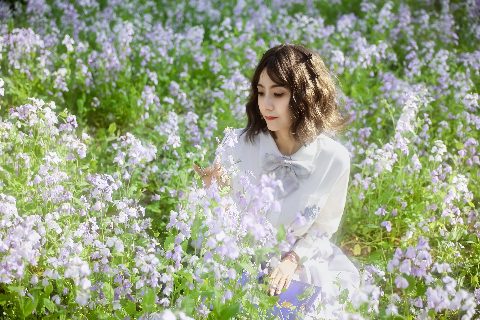 JK 制服・春日花野的限定浪漫 封面缩略图