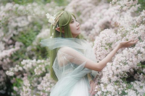 林深见鹿，花遇精灵 封面缩略图