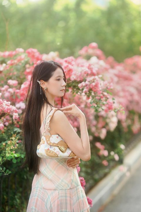 春日花径，温柔叙事 封面缩略图