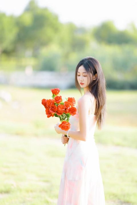 玫瑰与晚风，少女与诗 封面缩略图