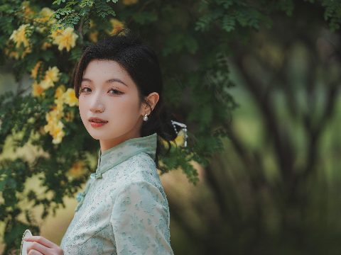 浅绿旗袍・黄薇清荫 封面缩略图