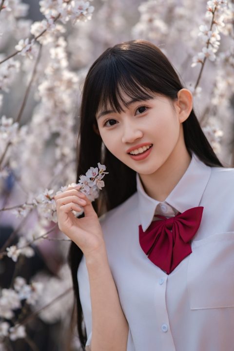 🌸 樱色和弦里的青春序章 封面缩略图