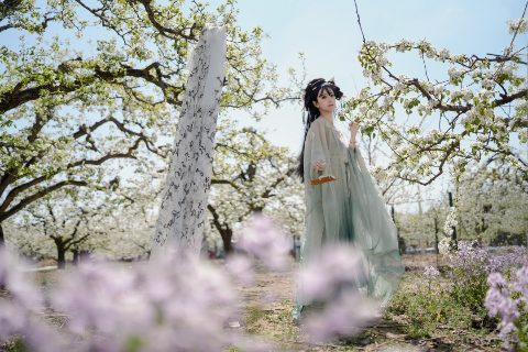 青衫汉服・梨花满树 春日里的相思碎念 封面缩略图