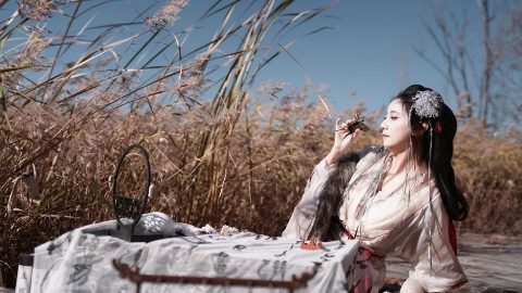 芦荡惊鸿，剑骨生香 封面缩略图