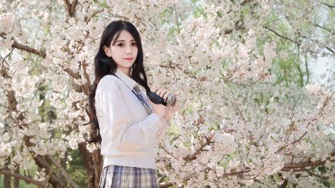 JK 制服 · 春日樱花林 少女与樱花的青春邂逅 封面缩略图