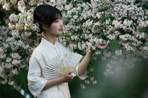 新中式・游园清夏 封面缩略图