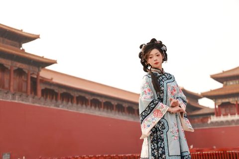 一入宫墙深似海，半盏清梦落尘埃 封面缩略图